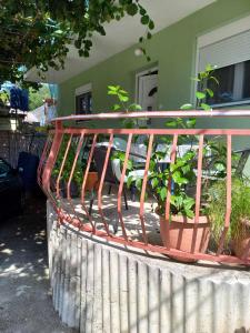 une clôture métallique avec des plantes devant une maison dans l'établissement Apartman Šparović u blizini Porto Novog Kumbor, à Ðenovići