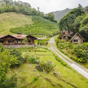 un camino sinuoso a través de un pueblo con casas en TREE TREK BOQUETE Adventure Park, en Boquete