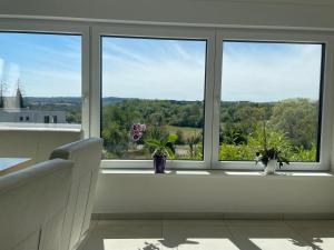 um quarto com três janelas com vasos de plantas em Ferienhaus Weitblick Sankt Wendel em Sankt Wendel