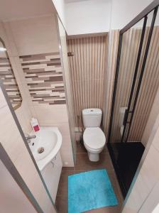 a small bathroom with a toilet and a sink at Słoneczny apartament in Duszniki Zdrój