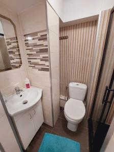 uma casa de banho com um WC, um lavatório e um chuveiro em Słoneczny apartament em Duszniki Zdrój