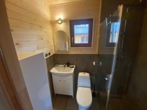 a small bathroom with a toilet and a sink at Kaszub in Borsk