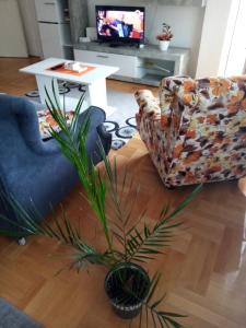 Posezení v ubytování Apartman MACA