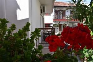Fotografia z galérie ubytovania Polemarhos Guest House 8 v destinácii Kalabaka