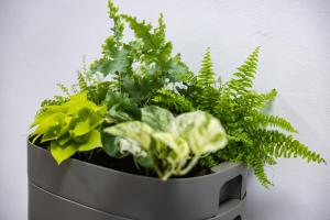 Fotografija v galeriji nastanitve Apartmány Nežárka a privátní wellness v mestu Jindrichuv Hradec