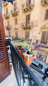 Via Zara, Palermo – Updated 2023 Prices