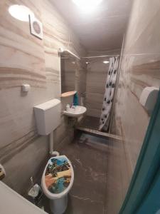 Kúpeľňa v ubytovaní Plutó Vendégház