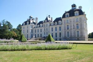 Vonkajšia záhrada v ubytovaní Gîte Abbey Road 41 - Passez vos vacances en toute tranquillité !