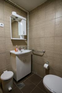 ein Badezimmer mit einem Waschbecken, einem WC und einem Spiegel in der Unterkunft Lodge Drveni Kutak in Sekulić 