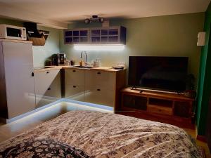 Telewizja i/lub zestaw kina domowego w obiekcie Le Garden & SPA