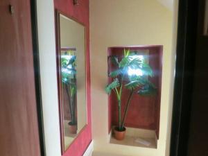 ein Badezimmer mit zwei Spiegeln und einer Topfpflanze in der Unterkunft CASA GINA in Sammichele di Bari