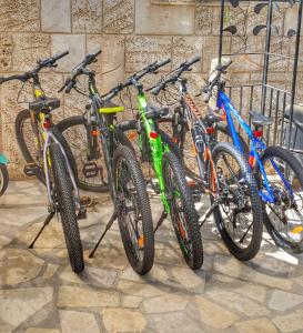 a group of bikes parked next to each other at Heaven In The Desert in Mitzpe Ramon