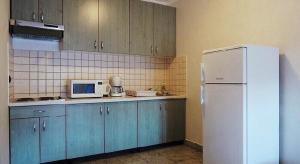 Kuchyň nebo kuchyňský kout v ubytování APARTMENT NELLY OPATIJA