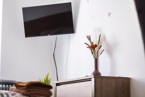 TV in/ali zabaviščno središče v nastanitvi Apartmány Nežárka a privátní wellness