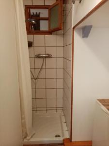 Habitación con baño pequeño con ducha. en Charmant gîte avec parking gratuit sur place. en Davézieux