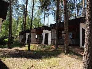 a house in the woods with trees at RS Dobrota in Staré Splavy