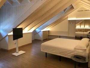 a bedroom with a bed and a tv in the attic at HOTEL MONTE PERDIDO in Bielsa