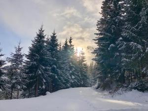 Almland Hütte talvel