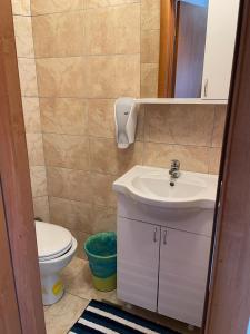 a bathroom with a sink and a toilet at Bed and Breakfast Albatros in Perušić