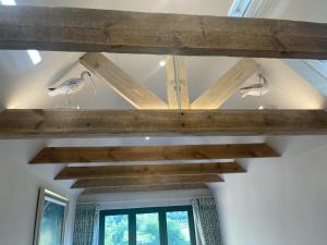 two birds are sitting on the ceiling of a room at Garden Studio in Newbury