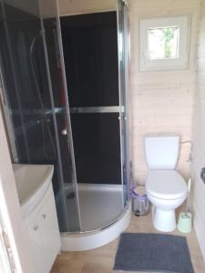 a small bathroom with a toilet and a shower at Domek u Ani in Giżycko