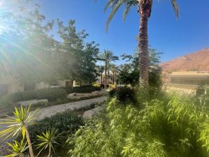 uma palmeira no meio de um jardim em Al Raha Village - Aqaba em Aqaba