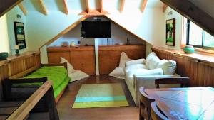 a attic room with a couch and a tv at Casa Bosque Paraíso in Pucón