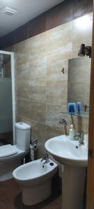 y baño con aseo y lavamanos. en Apartamento Granada Monachil I, en Monachil