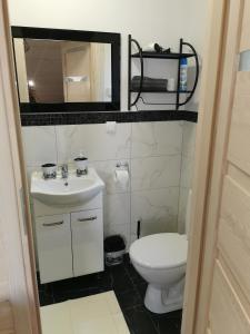 a bathroom with a toilet and a sink and a mirror at Noclegi Świętokrzyskie w Dolinie Wilkowskiej,, Pod Jeleniami "prawdziwymi in Święta Katarzyna