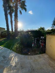 un grupo de bicicletas estacionadas en un patio con palmeras en Maxi Villa Antiope Argonauti Resort, en Marina di Pisticci