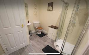 a bathroom with a shower and a toilet at Ballyconnelly Cottages, Galgorm area in Cullybackey