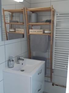 La petite salle de bains est pourvue d'un lavabo et d'un miroir. dans l'établissement Cosy T2 31m2 - Centre-Ville Dijon - Gare et Darcy, à Dijon