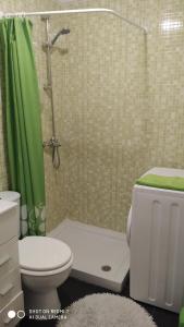 a bathroom with a toilet and a shower with a green shower curtain at Studio Almudena in Torrevieja