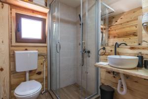 a bathroom with a toilet and a shower and a sink at Log cabins Banjska stena in Mitrovac