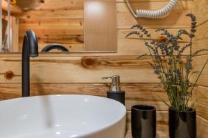 Baðherbergi á Log cabins Banjska stena
