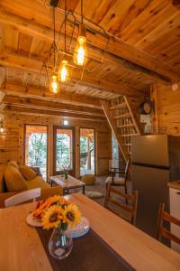 a kitchen and living room in a log cabin at Log cabins Banjska stena in Mitrovac