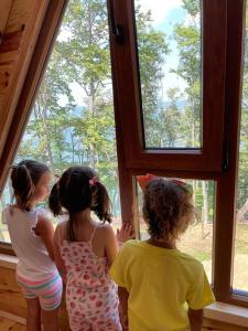 Gestir sem dvelja á Log cabins Banjska stena