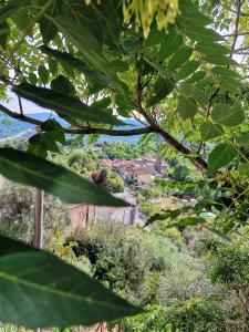une vue sur une ville à travers les feuilles d'un arbre dans l'établissement Cà Feddia, à Bagnone