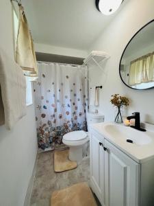 a bathroom with a toilet and a sink and a mirror at House of Shells, beautiful garden, fenced yard, dog friendly, fire pit! in Crystal River