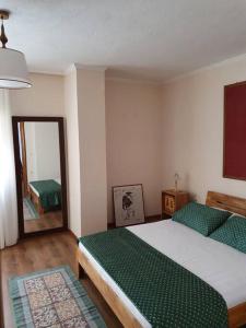 Kama o mga kama sa kuwarto sa Cozy Apartment near Ohrid Lake