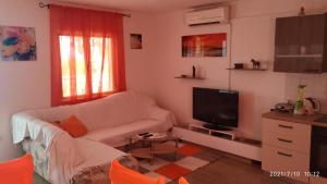 a living room with a couch and a tv at Apartments by the sea Necujam, Solta - 18664 in Grohote
