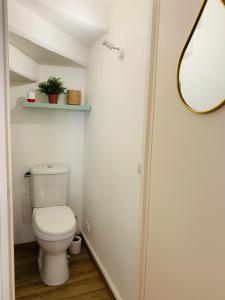 een badkamer met een toilet en een spiegel bij Thuir, Charmante Maison T2 Climatisée in Thuir