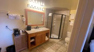 ein Bad mit einem Waschbecken und einer Dusche in der Unterkunft Yosemite Gateway Motel in Lee Vining