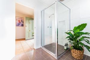 baño con ducha de cristal y maceta en Pinkerton House, en Koorawatha 23 fotos más