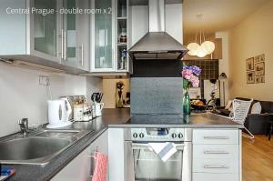 a kitchen with a sink and a stove top oven at Kent Ridge Loft in Prague