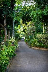 Φωτογραφία από το άλμπουμ του Villa de Roses στο Beau Vallon