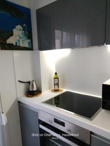 Kuchyň nebo kuchyňský kout v ubytování Modern-Lux Central 1 Bedroom Condo