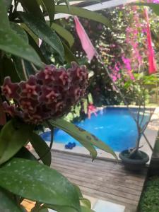Bazén v ubytování Orchid House nebo v jeho okolí