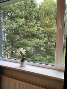 Zahrada ubytování Apartment24 Savi 34 + 1 fotografie