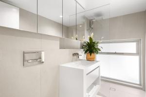 a white kitchen with a plant on top of a refrigerator at Little Cove Court - Apt 8 in Noosa Heads